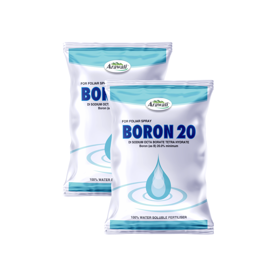 BORON 20
