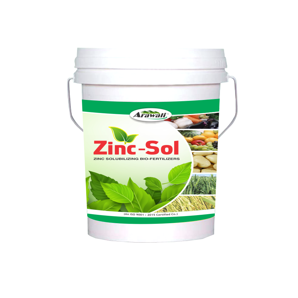 ZINC-SOL